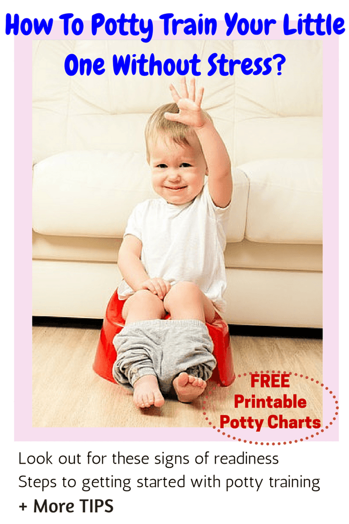 How To Potty Train Your Little One Without Stress?